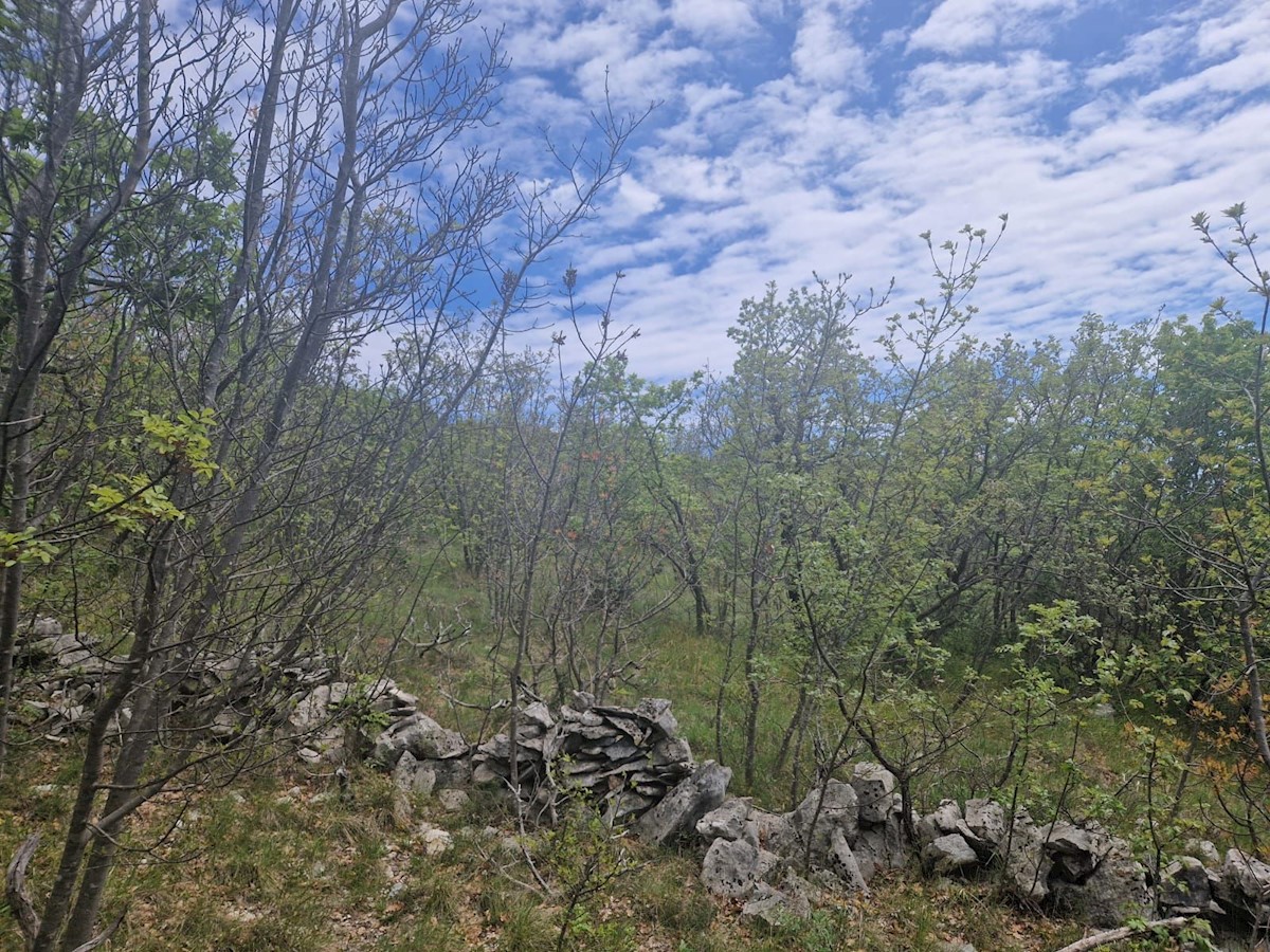 Land For sale - ISTARSKA LABIN