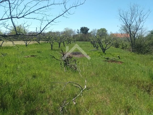 Terrain À vendre - Zadarska Zemunik Donji - foto 3/4