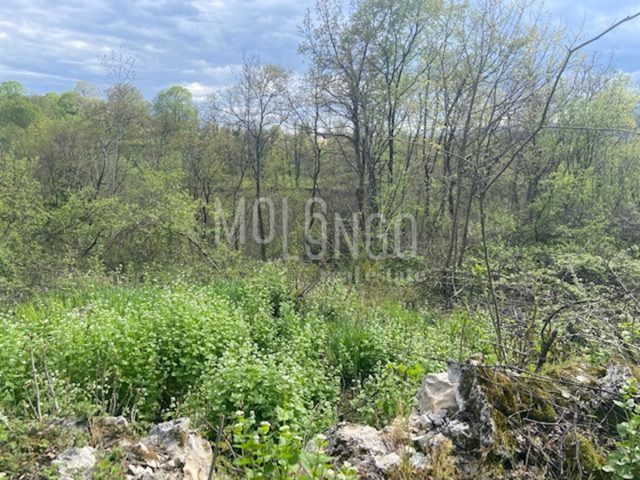 Terreno In vendita - Primorsko-goranska Viškovo - foto 2/5