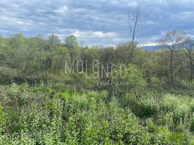 Land For sale - Primorsko-goranska Viškovo - foto 4/5