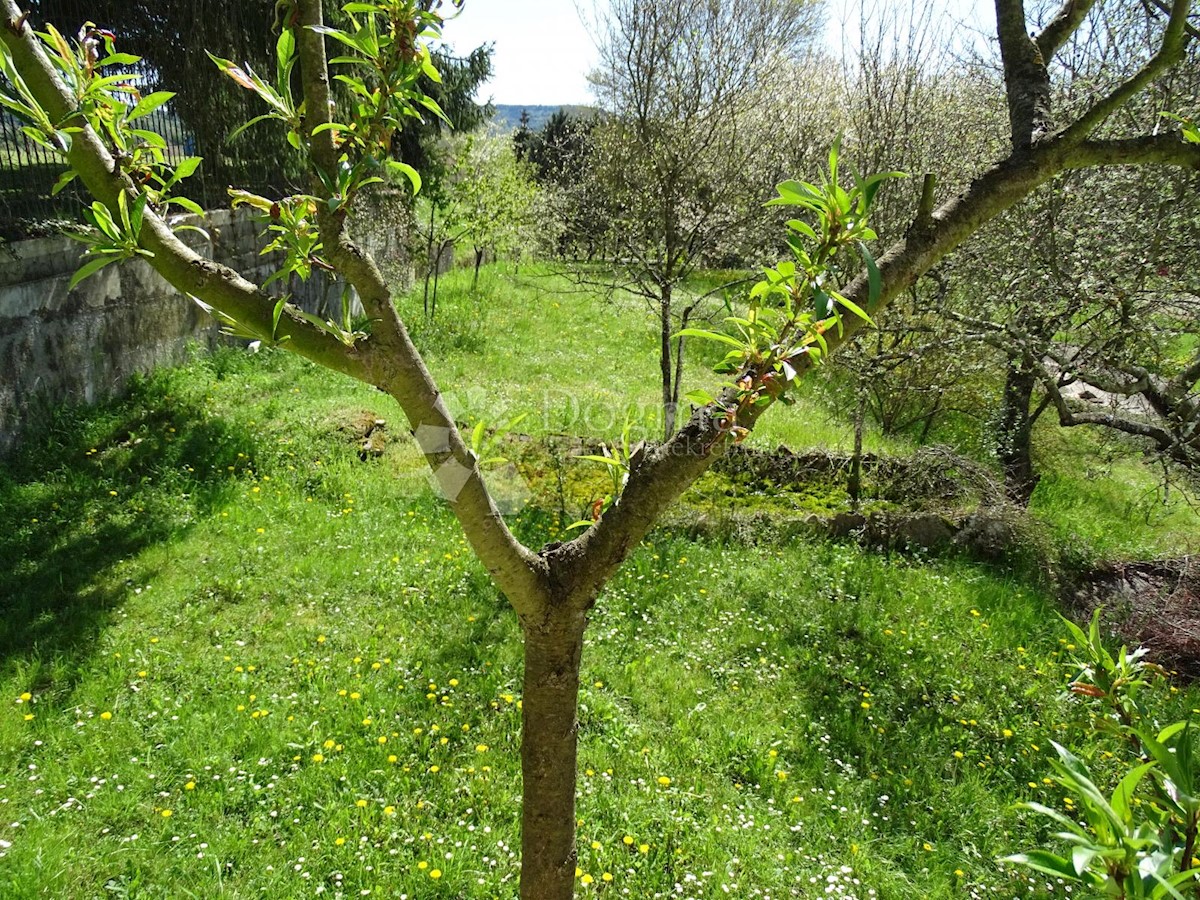 Kuća Na prodaju - ISTARSKA CEROVLJE