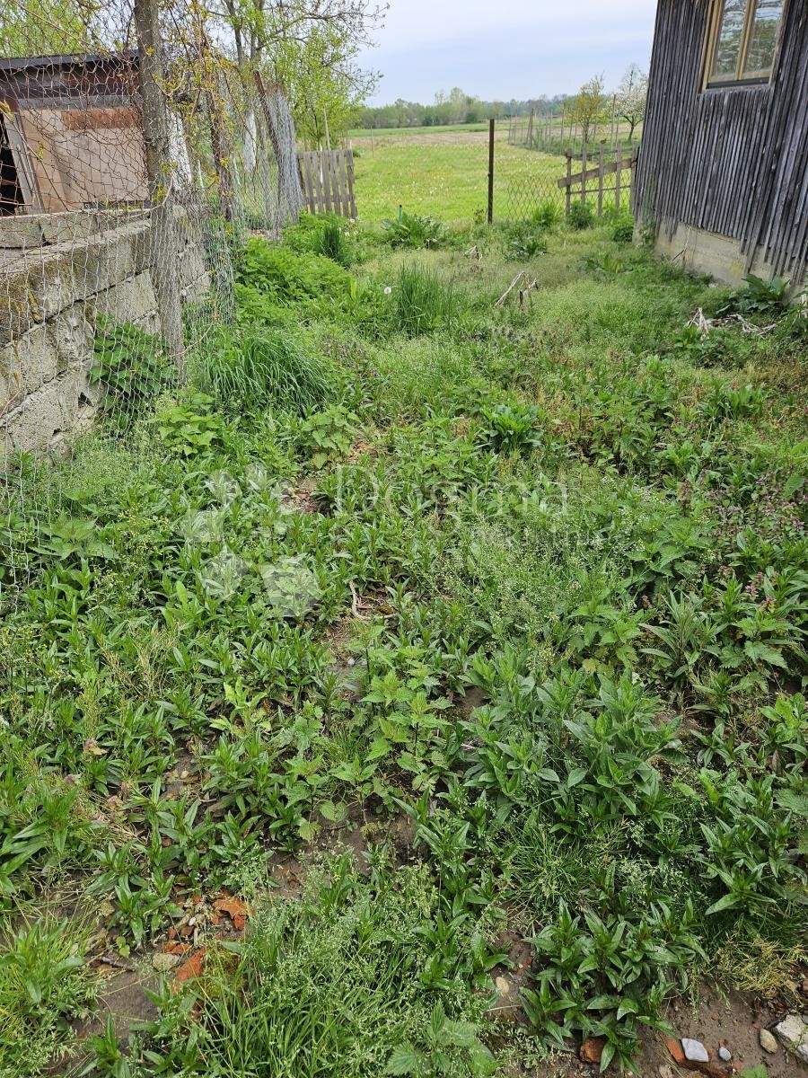 Terreno In vendita - VARAŽDINSKA JALŽABET