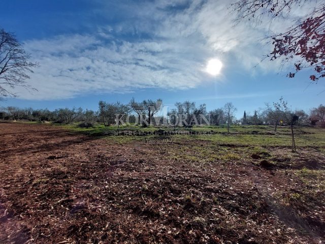 Land for sale 2020 m² – Umag