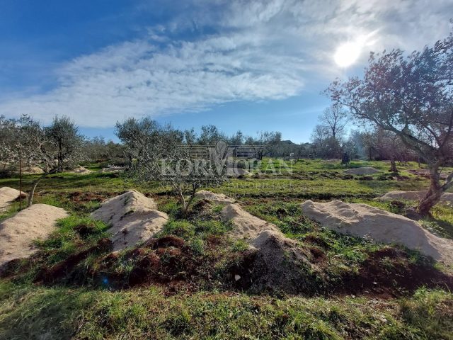 Grundstück Zu verkaufen - Istarska Umag - foto 2/2
