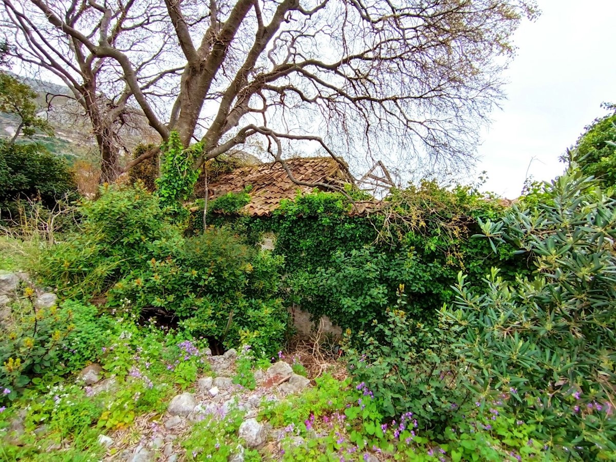 Maison À vendre - DUBROVAČKO-NERETVANSKA ŽUPA DUBROVAČKA