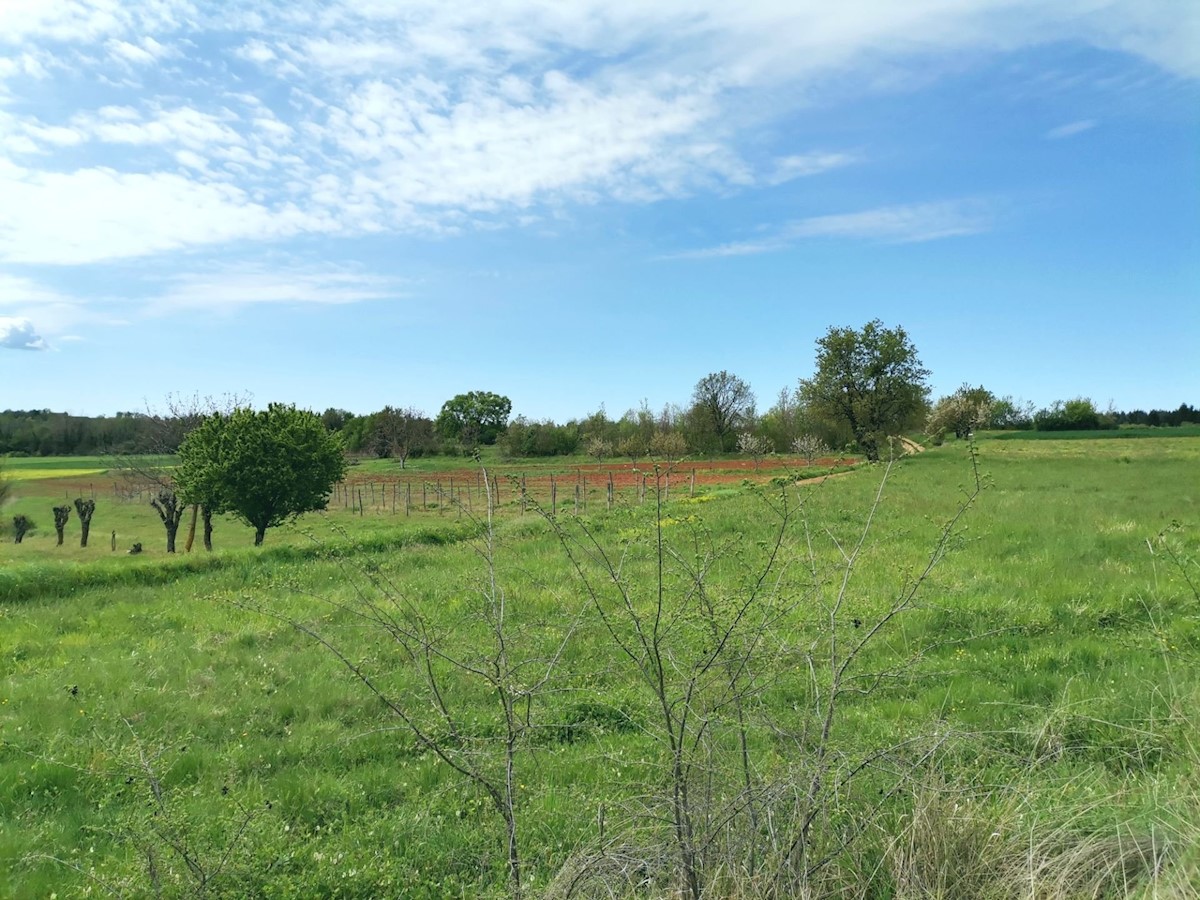 Terreno In vendita - ISTARSKA VIŽINADA