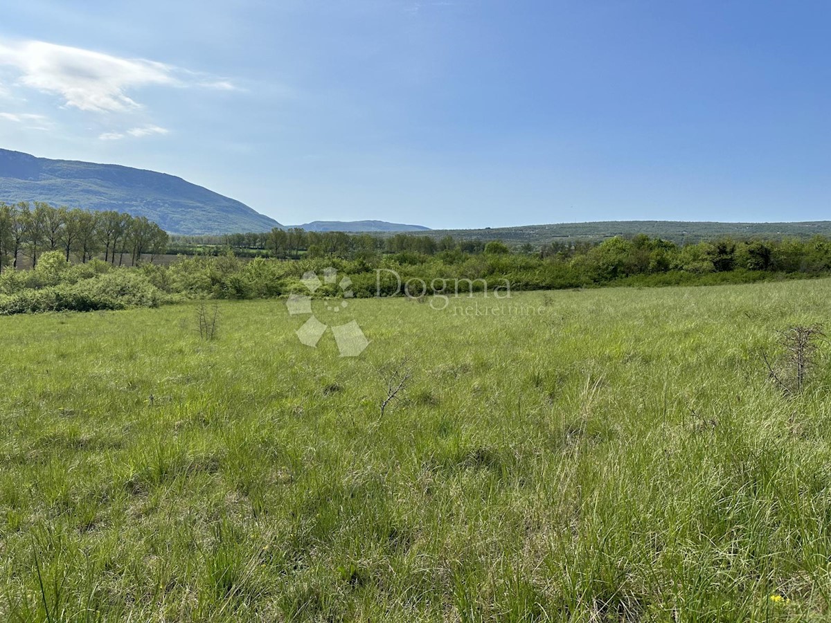 Land For sale PURGARIJA ČEPIĆ