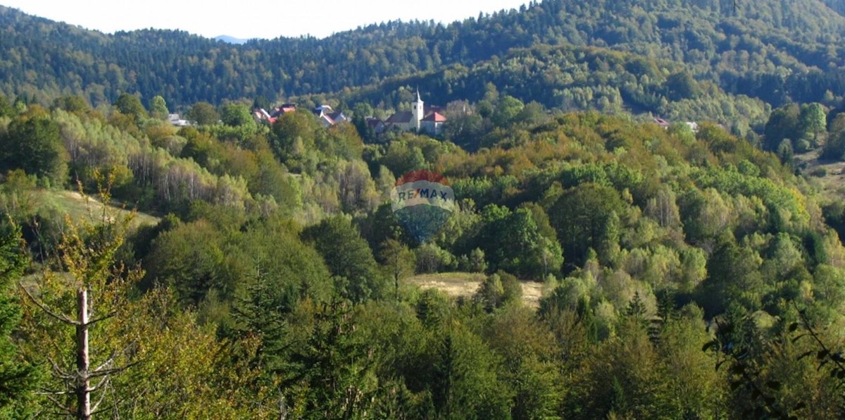 Parcela Naprodaj - PRIMORSKO-GORANSKA Delnice