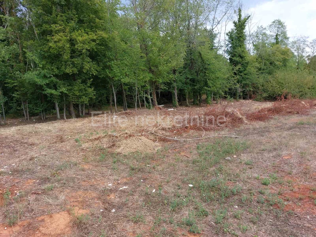 Land For sale - ISTARSKA LIŽNJAN