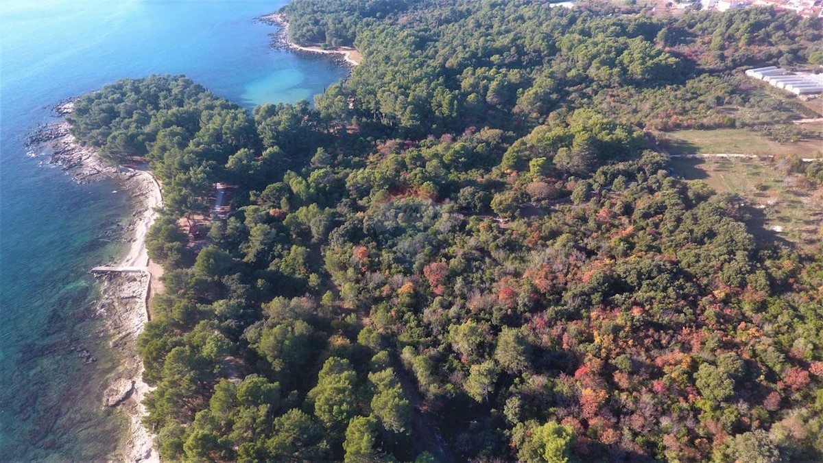 Terreno In vendita - Istarska Rovinj - foto 3/7