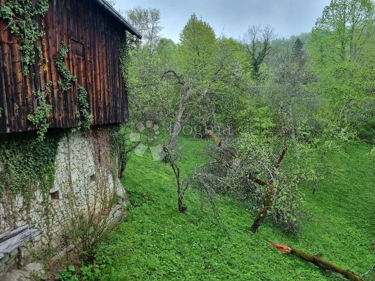 Haus Zu verkaufen - PRIMORSKO-GORANSKA BROD MORAVICE