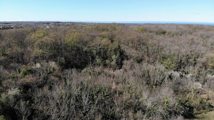Land for sale 5770 m² – Umag
