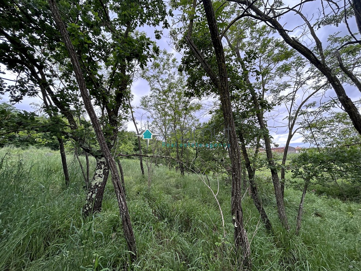 Terreno In vendita - ZAGREBAČKA JASTREBARSKO