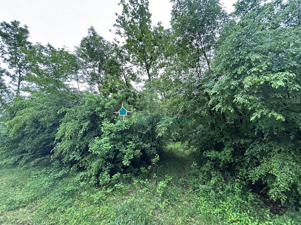 Terreno In vendita - ZAGREBAČKA JASTREBARSKO