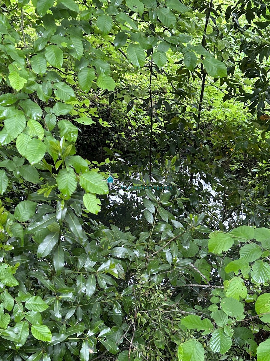 Terreno In vendita - ZAGREBAČKA JASTREBARSKO