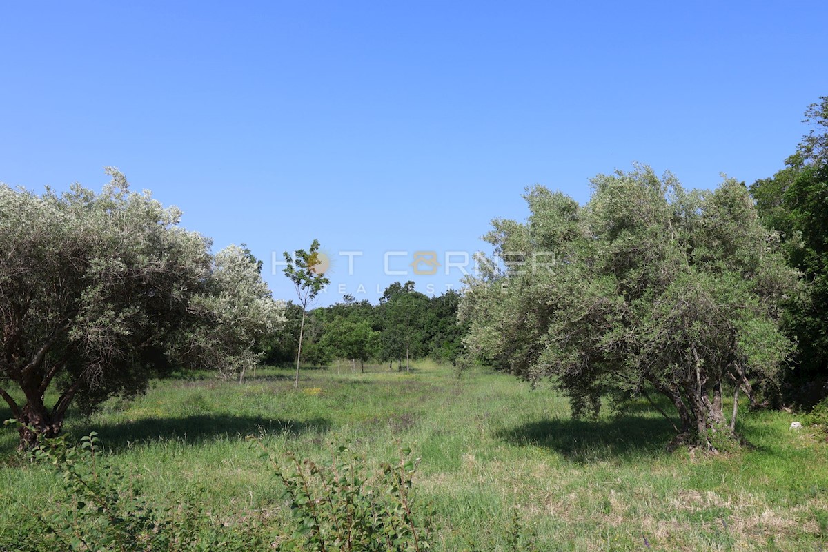 Land For sale - ISTARSKA MARČANA