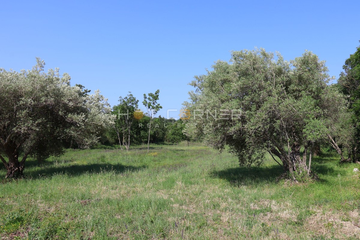 Land For sale - ISTARSKA MARČANA