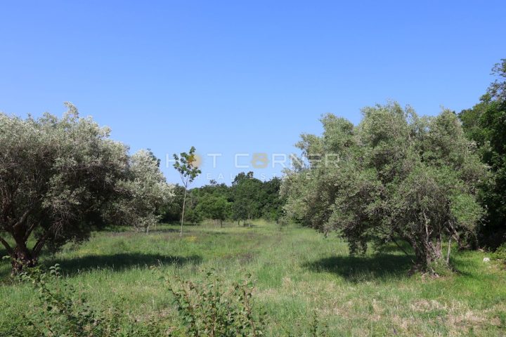 Parcela Na predaj - Istarska Marčana - foto 2/2