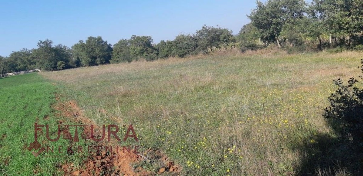 Land For sale - ZADARSKA SVETI FILIP I JAKOV