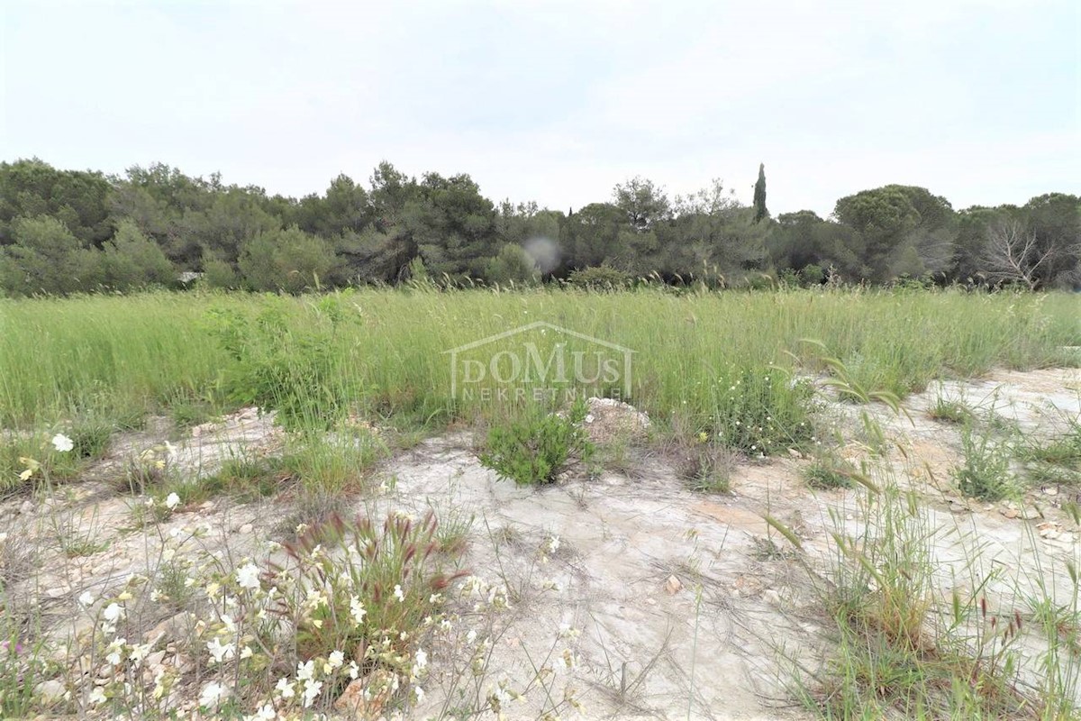 Land For sale - ZADARSKA BIOGRAD NA MORU