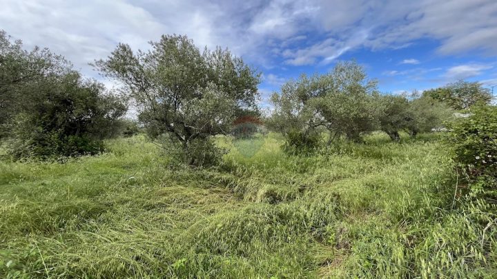 Terrain à vendre 1377 m² – Vabriga