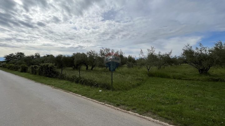 Terreno In vendita - Istarska Tar-vabriga - foto 2/3