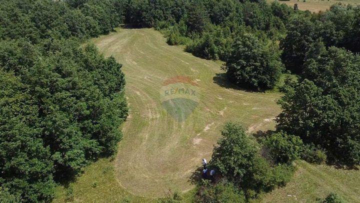 Pozemok na predaj 59542 m² – Žminj