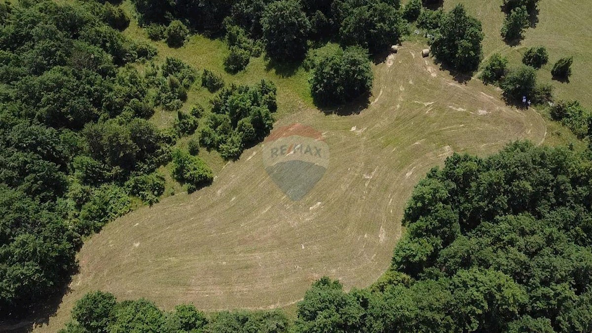 Parcela Naprodaj - ISTARSKA Žminj
