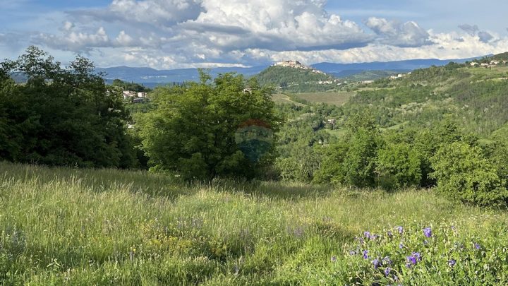 Terrain À vendre - Istarska Karojba - foto 3/3