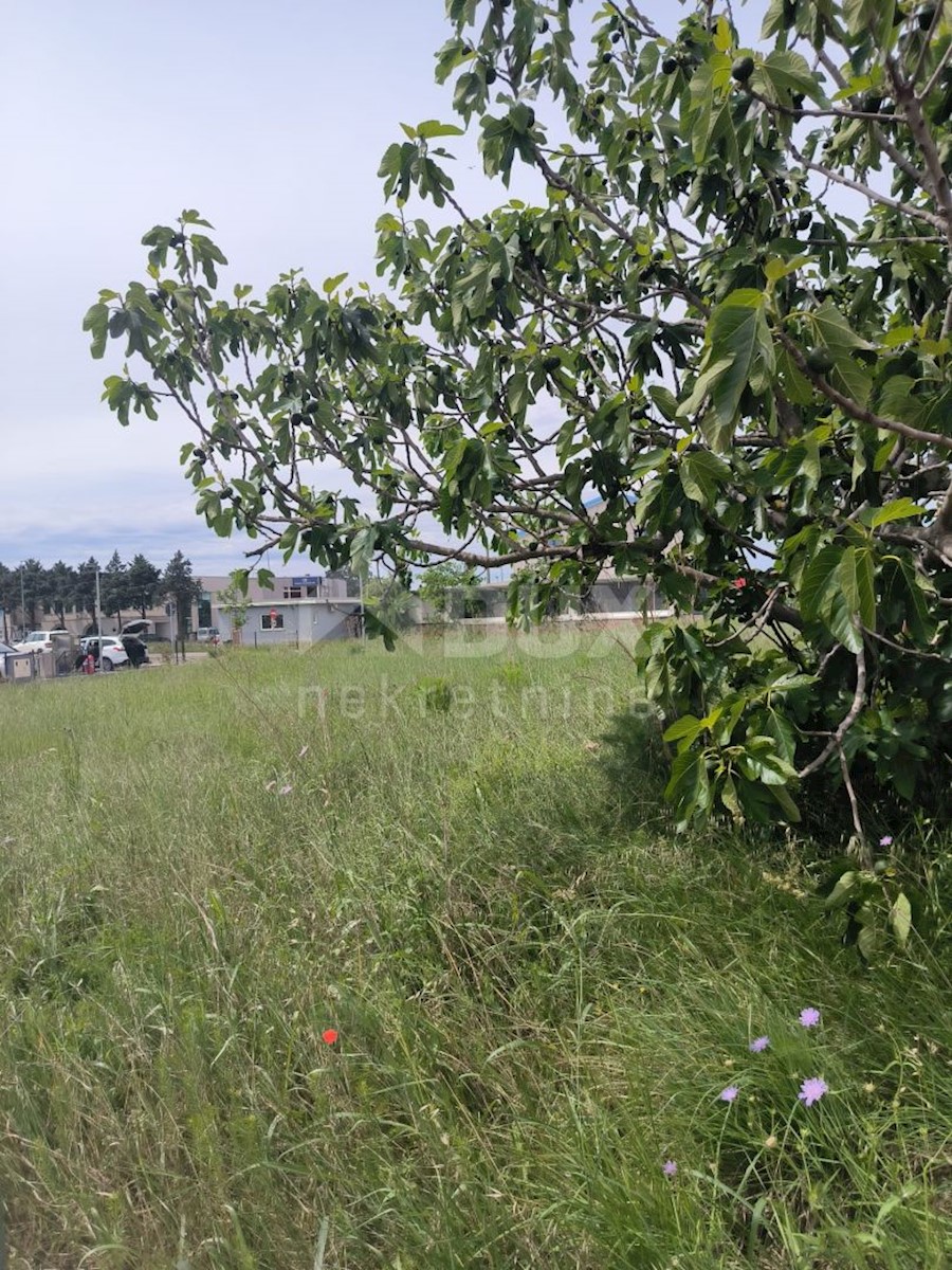 Terreno In vendita - ISTARSKA UMAG