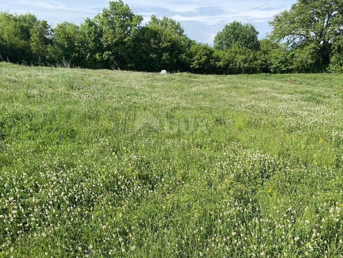 Pozemek Na prodej - ISTARSKA BARBAN