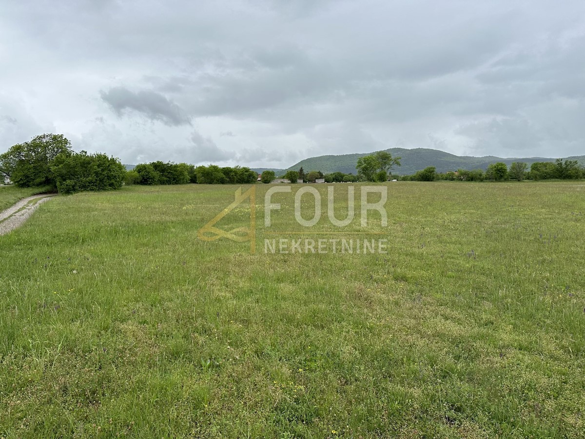 Land For sale - PRIMORSKO-GORANSKA JELENJE