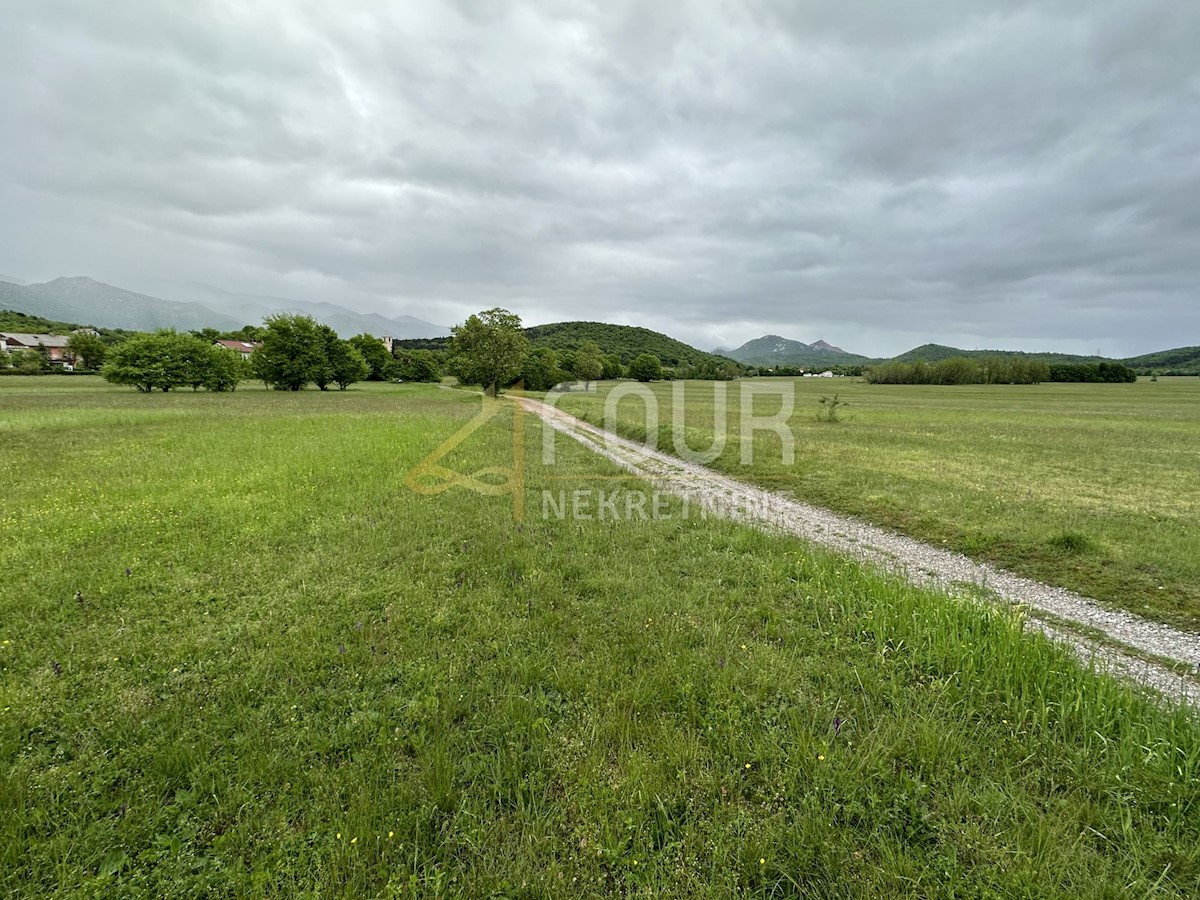 Land For sale - PRIMORSKO-GORANSKA JELENJE