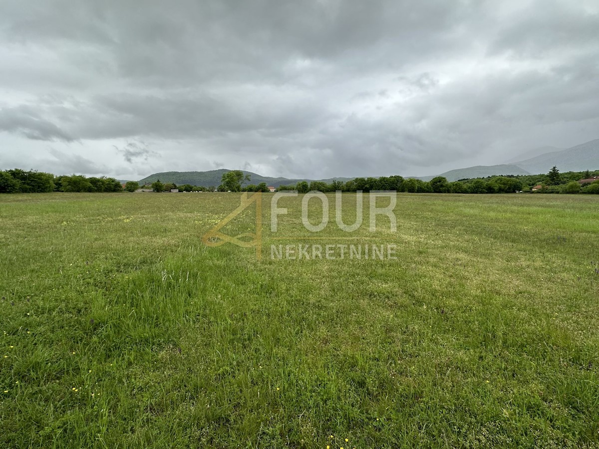 Land For sale - PRIMORSKO-GORANSKA JELENJE