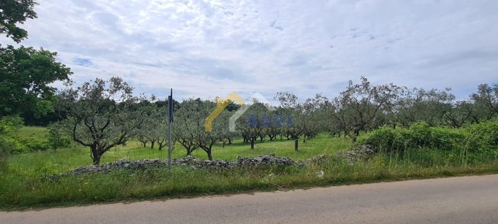 Pozemek na prodej 2613 m² – Peruški