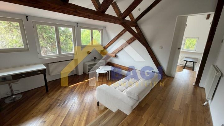 Flat for rent 65 m² – Tuškanac