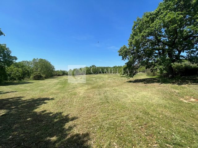 Zemljište na prodaju 6700 m² – Barban