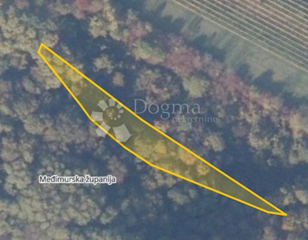 Terrain À vendre - Međimurska Sveti Martin Na Muri - foto 2/2