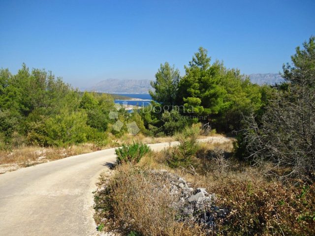 Land for sale 4198 m² – Povlja