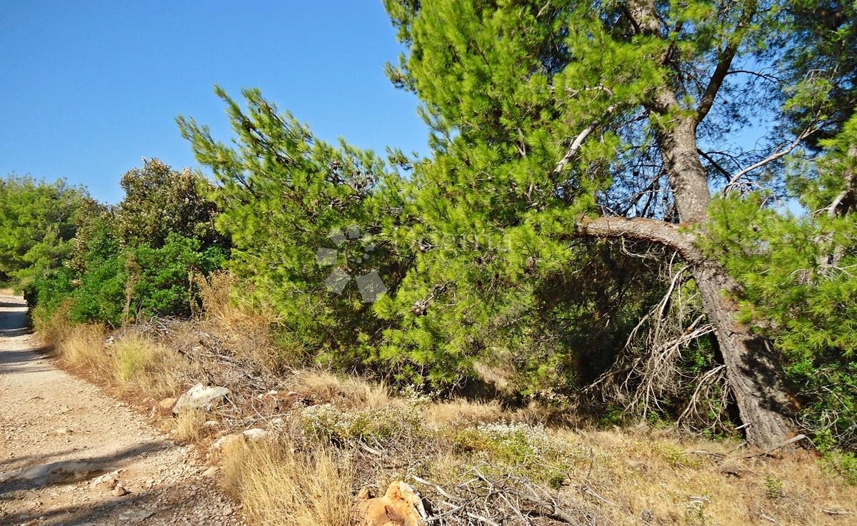 Pozemek Na prodej - SPLITSKO-DALMATINSKA BRAČ