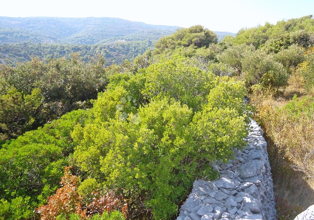 Pozemok Na predaj - SPLITSKO-DALMATINSKA BRAČ