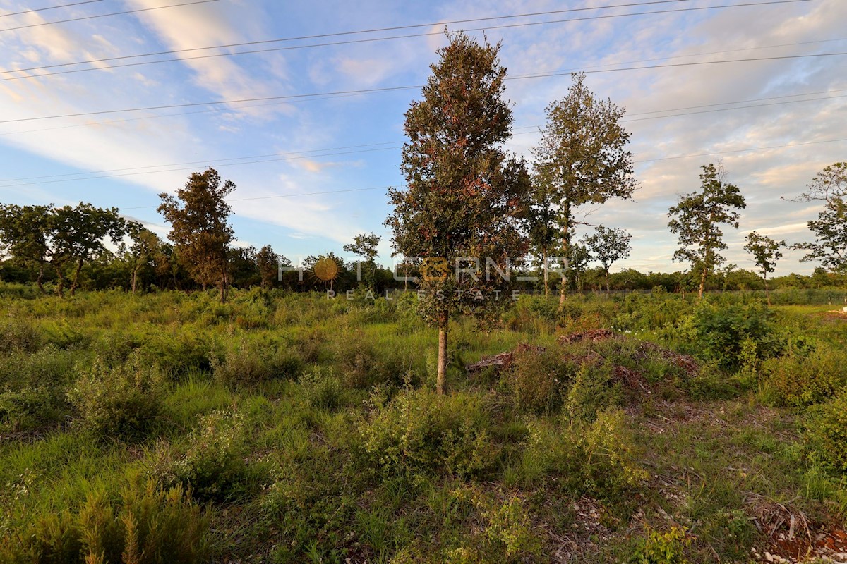 Land For sale - ISTARSKA VODNJAN