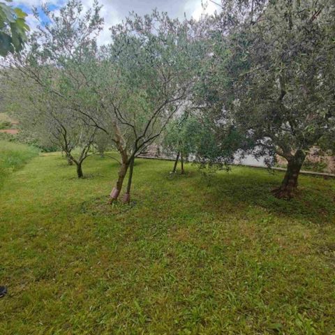 Apartma Naprodaj - Primorsko-goranska Krk - foto 3/3