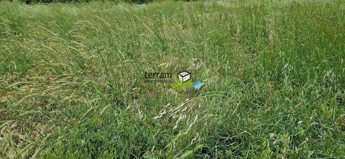 Land For sale - ISTARSKA MEDULIN