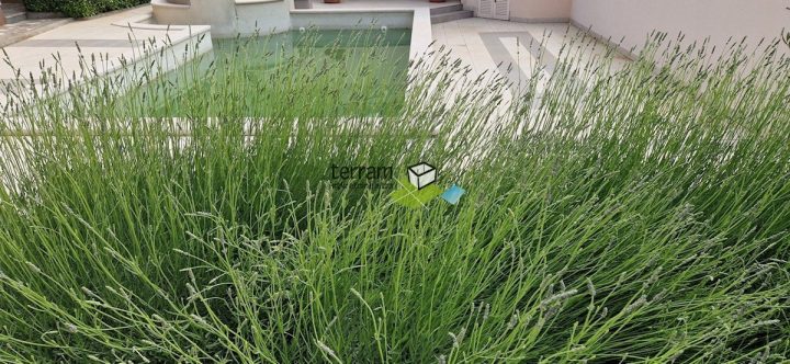 Hiša na predaj 480 m² – Vinkuran