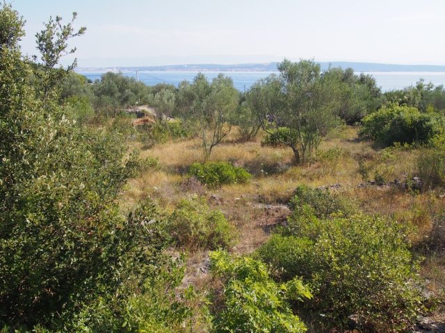 Terrain À vendre - Zadarska Ugljan - foto 3/11