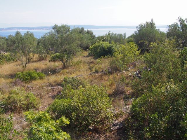 Terrain À vendre - Zadarska Ugljan - foto 5/11