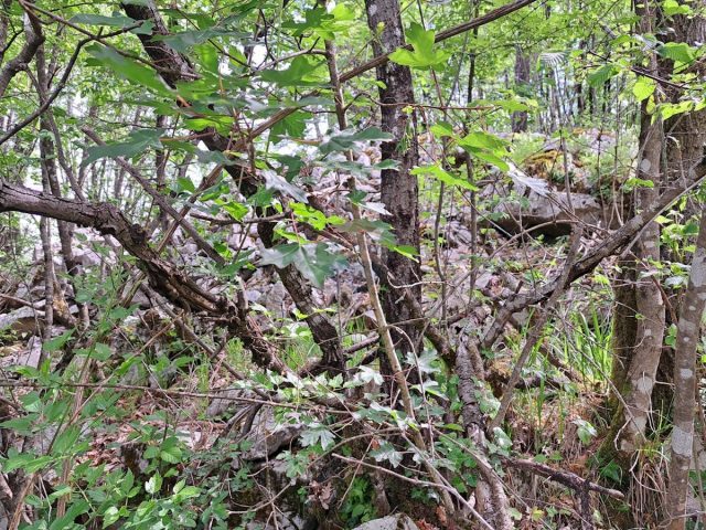 Grundstück Zu verkaufen - Primorsko-goranska Matulji - foto 3/3