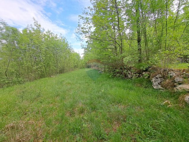 Parcela na predaj 2467 m² – Permani