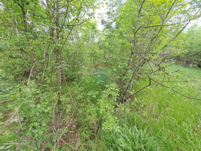 Land For sale - Primorsko-goranska Matulji - foto 2/6